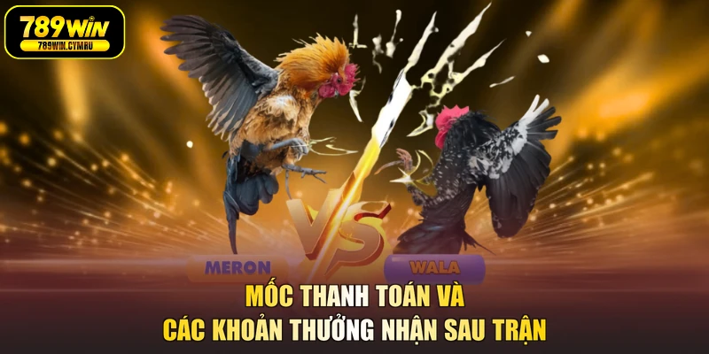 Mốc thanh toán và các khoản thưởng nhận sau trận