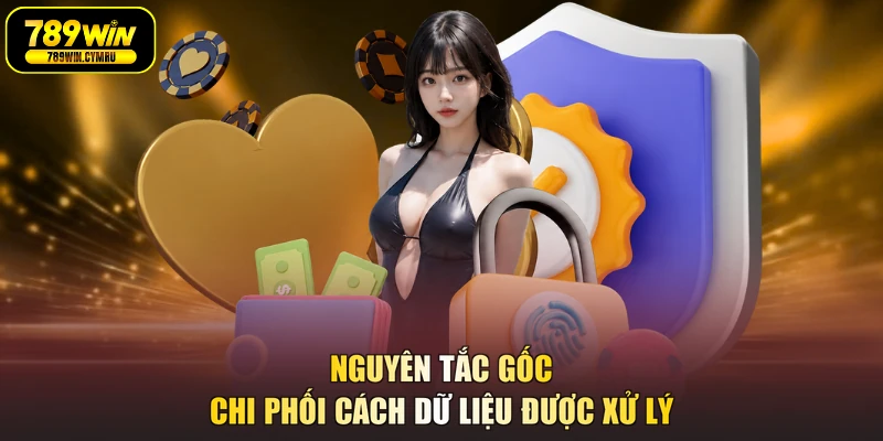 Nguyên tắc gốc chi phối cách dữ liệu được xử lý
